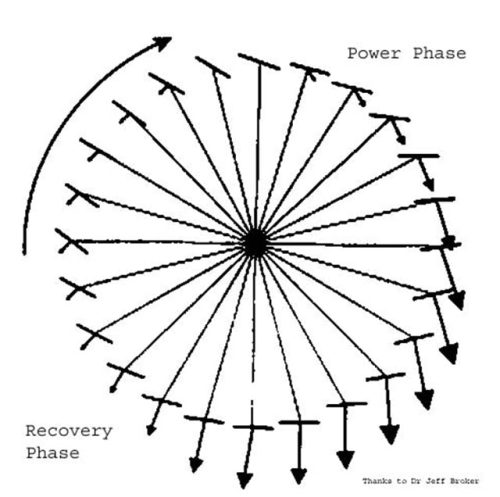 diagrama de fuerza de pedaleo
